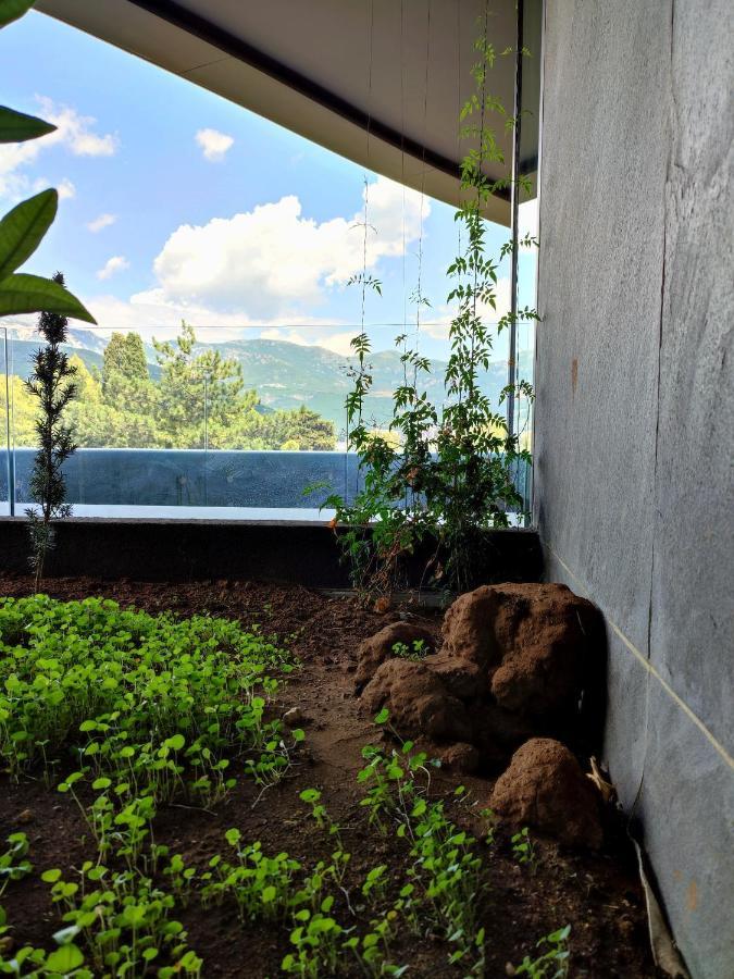 Royal Elysium Lejlighed Budva Eksteriør billede